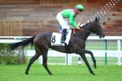 La photo de Salalah