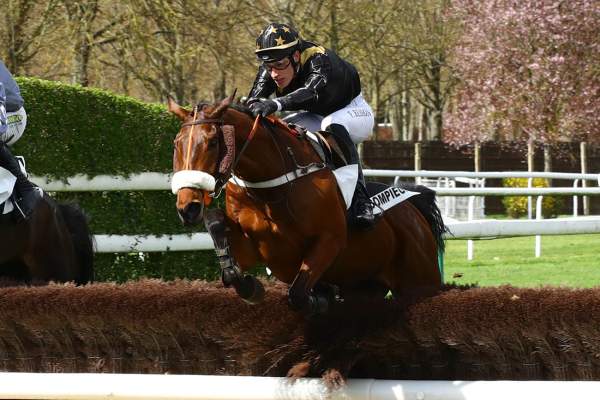 La photo de The Likely Lad 