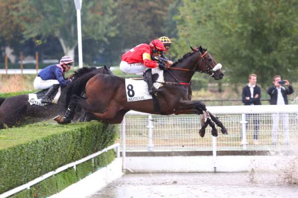 Photo de JOUR POLAIRE cheval de HAIES