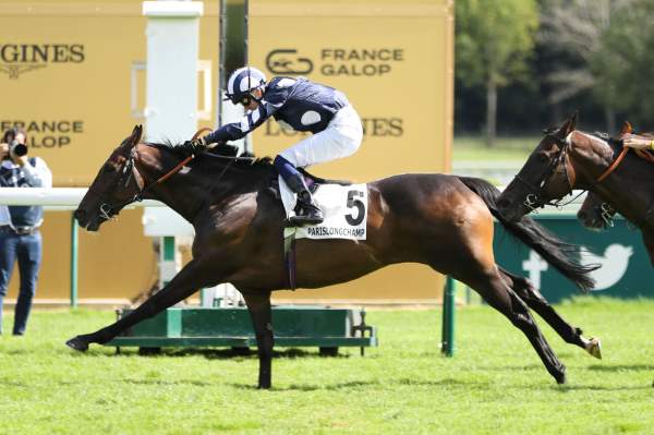 La photo de Certain Lad arrivée pmu La Coupe de Maisons-Laffitte (Gr.3) à ParisLongchamp