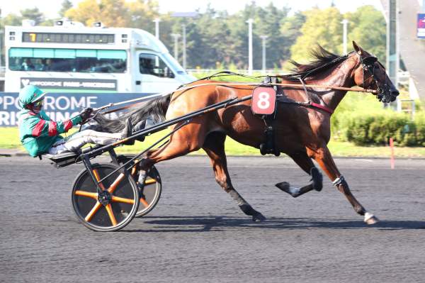 Photo de JALENDRA DE MALAC cheval de TROT ATTELE