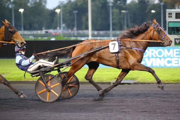 Photo de KINOU DAB cheval de TROT ATTELE