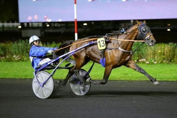 Photo de JAPPELOUP TURGOT cheval de TROT ATTELE