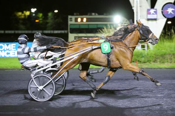 Photo de LARABELLO DE LOU cheval de TROT MONTE