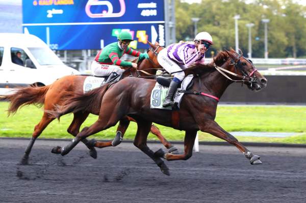 Photo de KYT KAT cheval de TROT MONTE