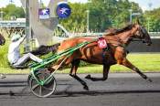 La photo de Hannibal Tuilerie