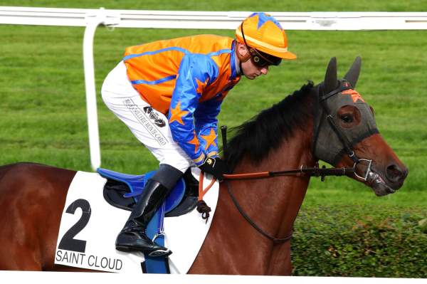 Photo de PAMELA BOUM cheval de PLAT