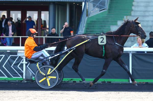 Photo de HAWAI PONT VAUTIER cheval de TROT ATTELE
