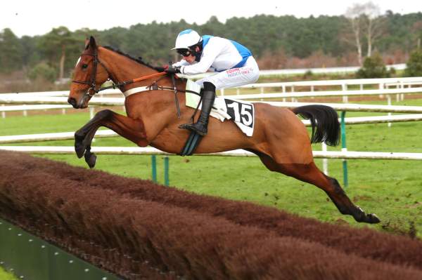 Photo de MISS CHANA cheval de STEEPLE CHASE