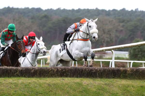 Photo de ICI AVRILLY cheval de CROSS