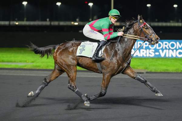 Photo de KING DU RIL cheval de TROT MONTE