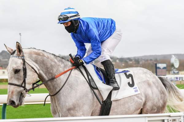 Photo de GAIDAR cheval de PLAT