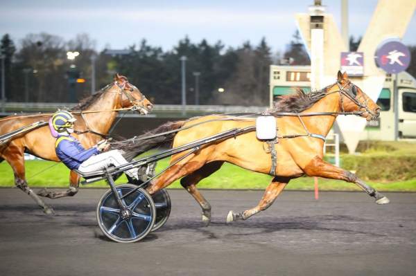 Photo de KAPTAIN DU LIAMONE cheval de TROT ATTELE