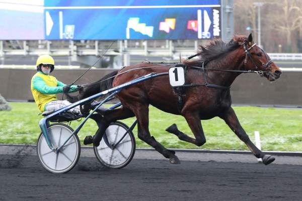 Photo de GOLDEN GIO cheval de TROT ATTELE