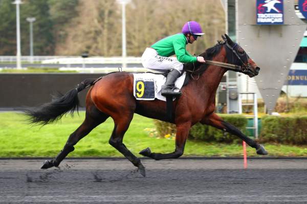 La photo de Lionheart arrivée pmu Prix d'Enghien (Gr.III) à Vincennes