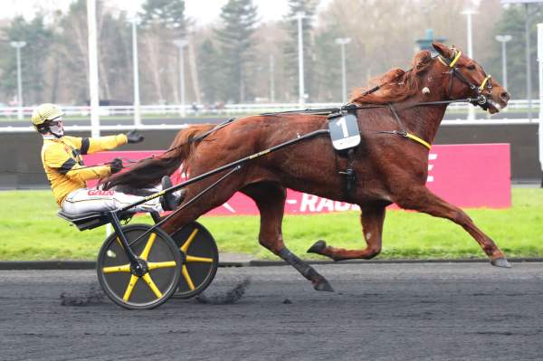 Photo de IROISE DE LA NOE cheval de TROT ATTELE