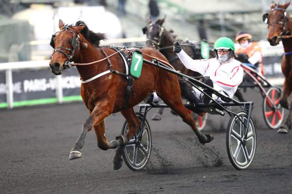 Photo de INATO PIERJI cheval de TROT ATTELE