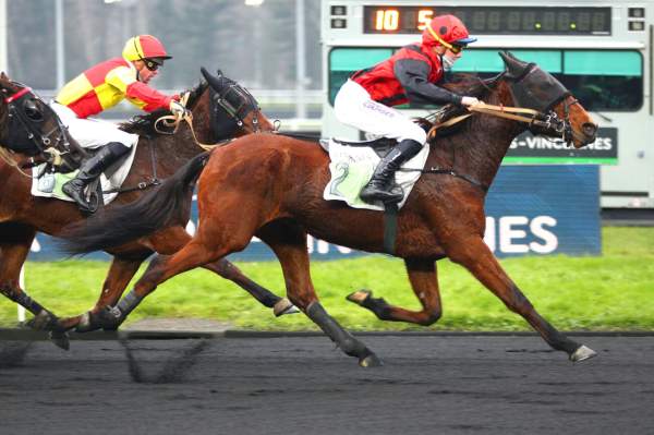 La photo de Lareine D'ourville arrivée pmu Prix de Carcassonne à Vincennes