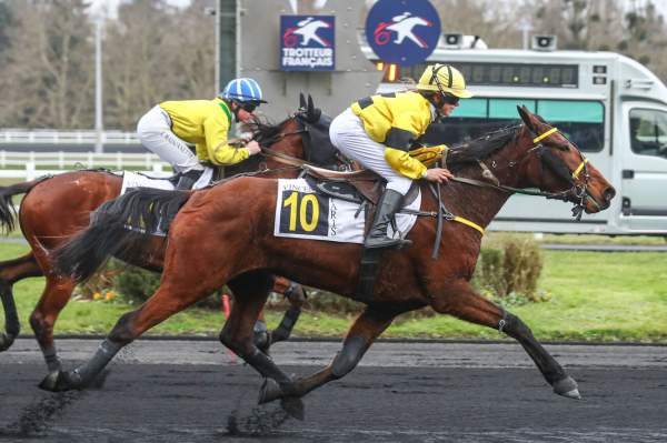 Photo de KLASSIC FROMENTRO cheval de TROT MONTE