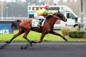 La photo de Impala De Val Arrivée PMU Prix Djerid à Vincennes