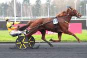 La photo de Iroise De La Noe arrivée Quinté+ pmu Prix de Belgique Amérique Races Q#6 à Vincennes