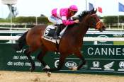 La photo de Showpower arrivée pmu Prix Cheret à Cagnes-sur-mer