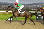 La photo de Comte Noir arrivée pmu Prix du Carrefour Charlet à Deauville