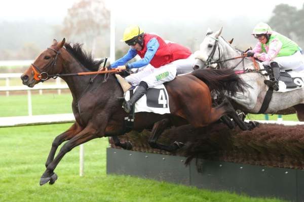 Photo de FORTUNA cheval de STEEPLE CHASE
