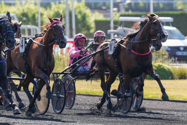 Photo de KARLA MELODY cheval de TROT ATTELE