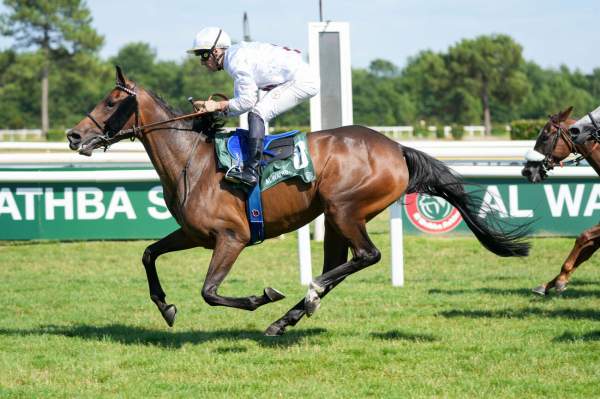 Photo de LACARO DU CROATE cheval de PLAT