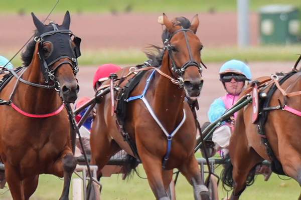 La photo de Lollipop Mijack 