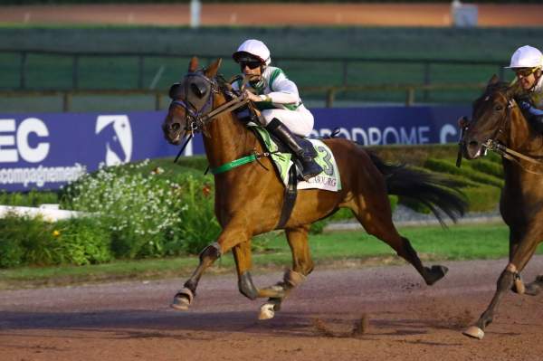 Photo de LE CADOR DE SIMM cheval de TROT MONTE