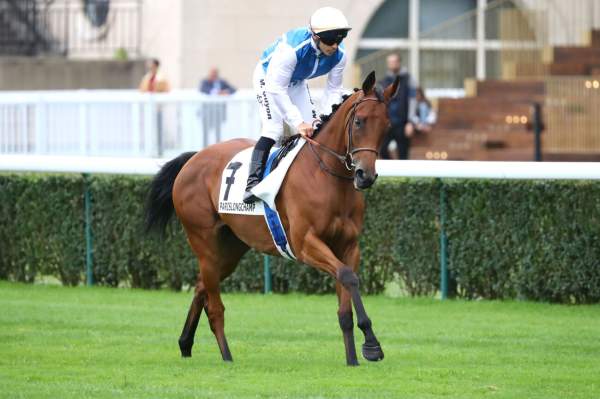 Photo de STATISTIC cheval de PLAT