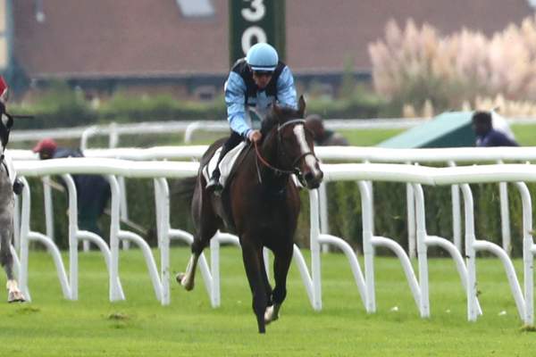 Photo de CHILL Y FLAMA cheval de PLAT