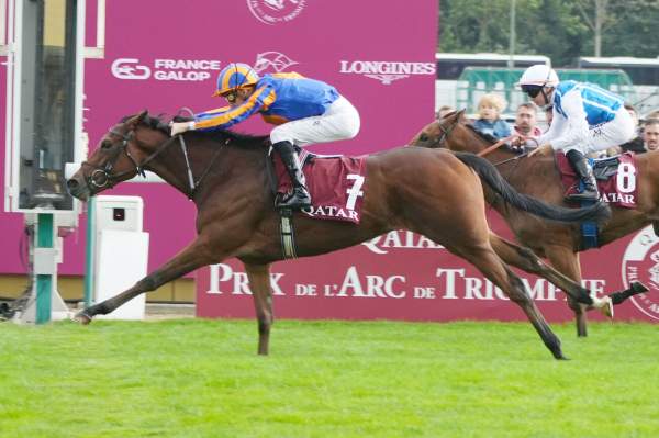 La photo de Diamond Necklace Arrivée Qatar Prix Marcel Boussac - Critérium des Pouliches 2025 à ParisLongchamp