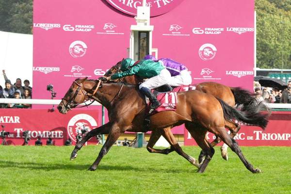 La photo de Daryz Arrivée Quinté+ Pmu Qatar Prix De L'Arc De Triomphe 2025 à ParisLongchamp. Mickael BARZALONA / Françis-Henri GRAFFARD