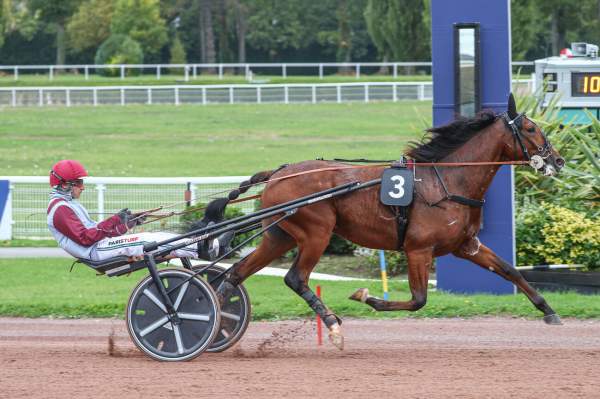 Photo de NAT KING COLE cheval de TROT ATTELE