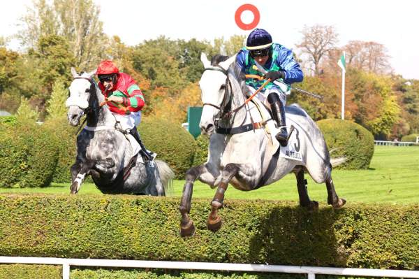 La photo de Metasequoia arrivée pmu Prix Xanthor à Auteuil