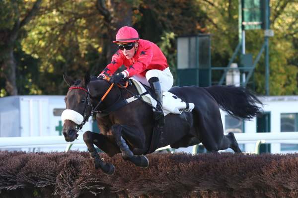 Photo de LOUBA cheval de STEEPLE CHASE
