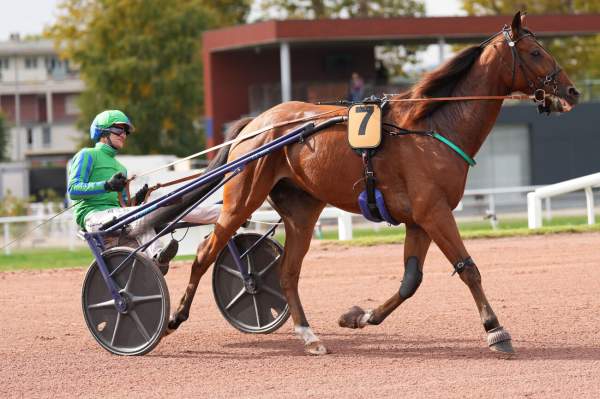 Photo de JERIMOW cheval de TROT ATTELE