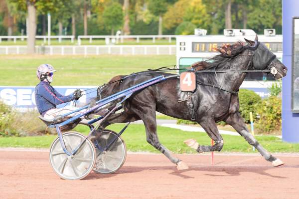 Photo de LUIGI PAULCA cheval de TROT ATTELE