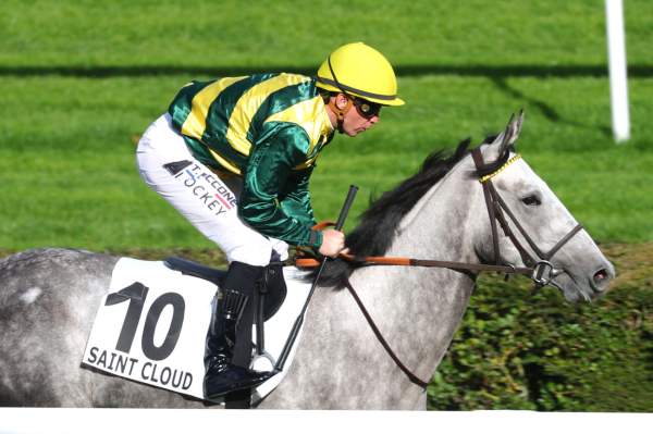 Photo de ICE CRACKER cheval de PLAT