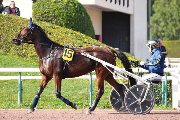 Photo de HEURISTIQUE cheval de TROT MONTE