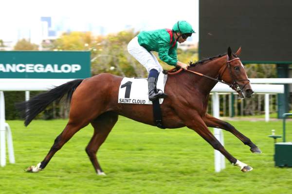 Photo de ZAYIDA cheval de PLAT