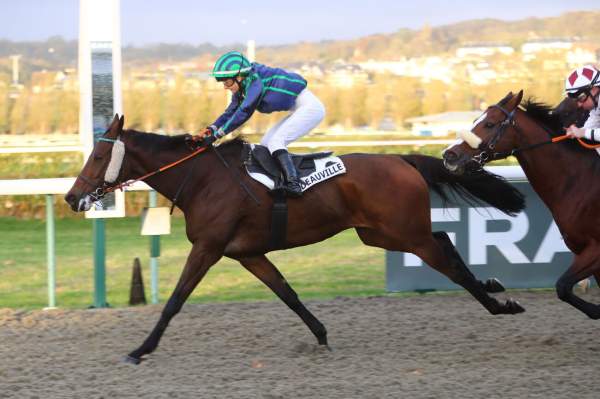 Photo de VILLA DARYA cheval de PLAT