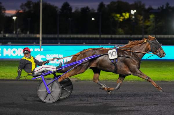 Photo de LEONTINE CASH cheval de TROT ATTELE
