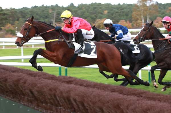 Photo de MAGIC TRILLION cheval de HAIES