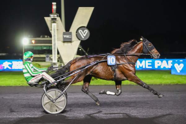 La photo de Jushua Tree arrivée pmu Prix des Cévennes (Gr.III) à Vincennes