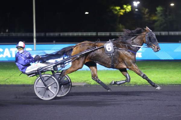 Photo de JOCELYNE cheval de TROT ATTELE