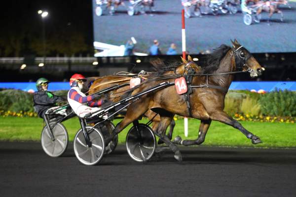 Photo de IRON DU GERS cheval de TROT ATTELE